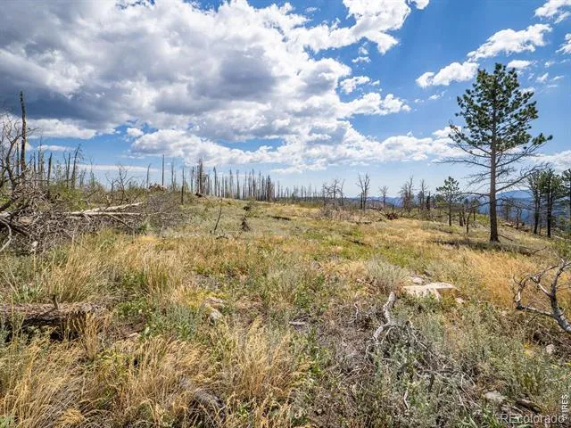 909 Forest Road 171 Red Feather Lakes, CO 80545
