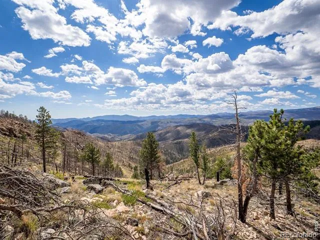 909 Forest Road 171 Red Feather Lakes, CO 80545