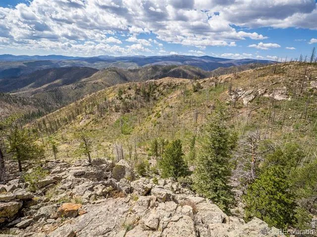 909 Forest Road 171 Red Feather Lakes, CO 80545