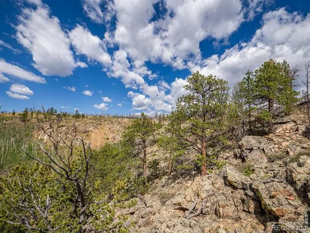 909 Forest Road 171 Red Feather Lakes, CO 80545
