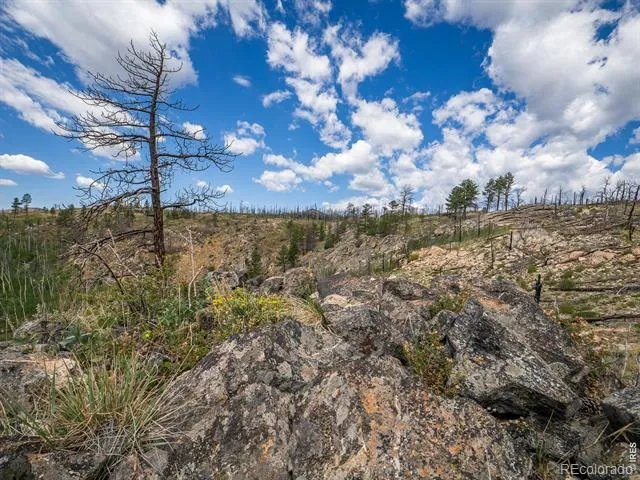 909 Forest Road 171 Red Feather Lakes, CO 80545