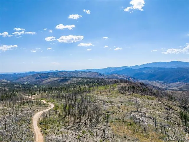 909 Forest Road 171 Red Feather Lakes, CO 80545