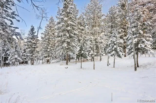 252 Beaver Trail Bailey, CO 80421