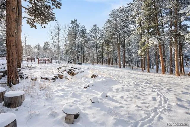 252 Beaver Trail Bailey, CO 80421
