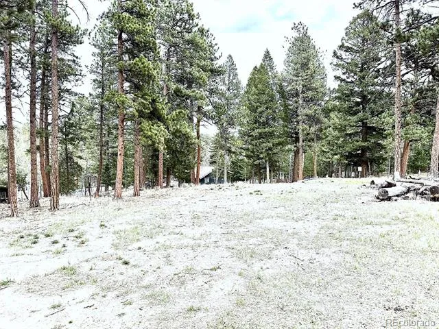 252 Beaver Trail Bailey, CO 80421