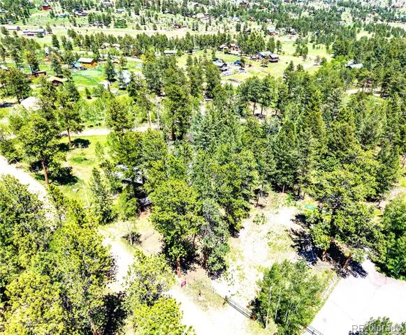 252 Beaver Trail Bailey, CO 80421