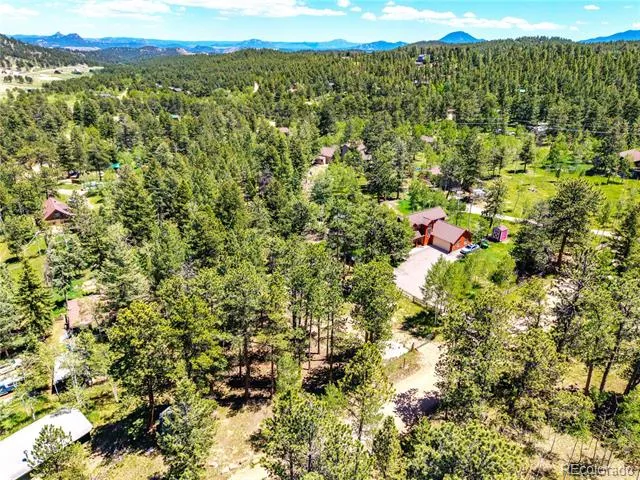 252 Beaver Trail Bailey, CO 80421