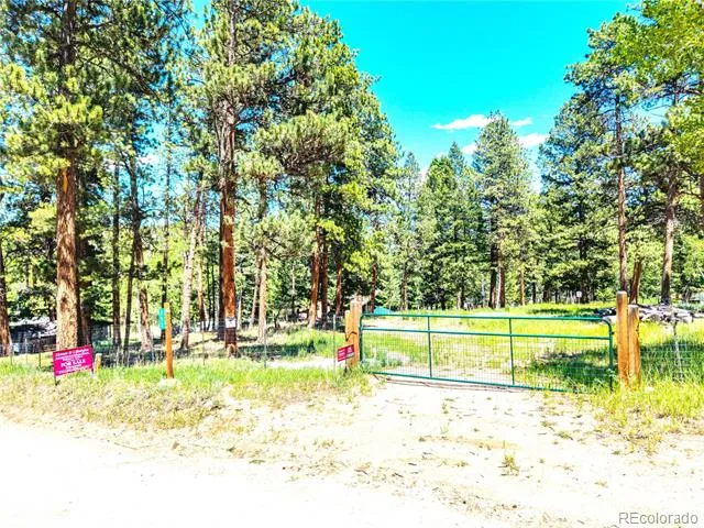 252 Beaver Trail Bailey, CO 80421