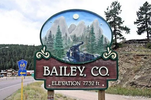 252 Beaver Trail Bailey, CO 80421