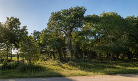 11950 Trinity Hills Road