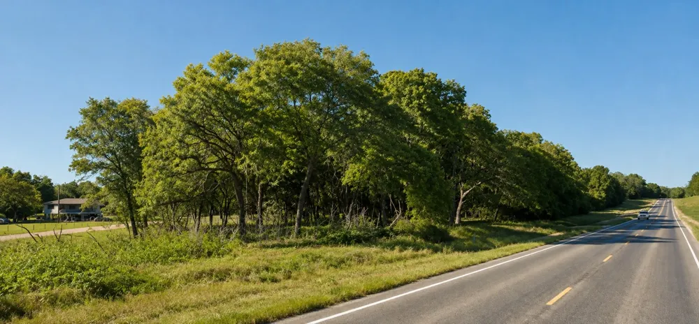 11950 Trinity Hills Road Kemp, TX 75143