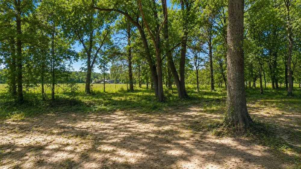 11950 Trinity Hills Road Kemp, TX 75143
