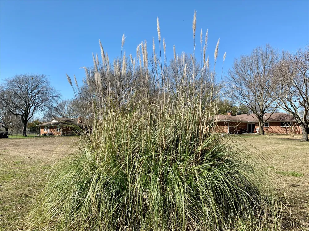 306 Pecan Street Howe, TX 75459