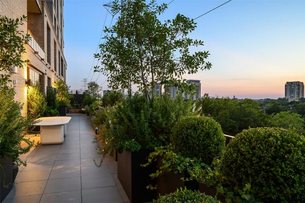 4205 Buena Vista Street #302 Dallas, TX 75205