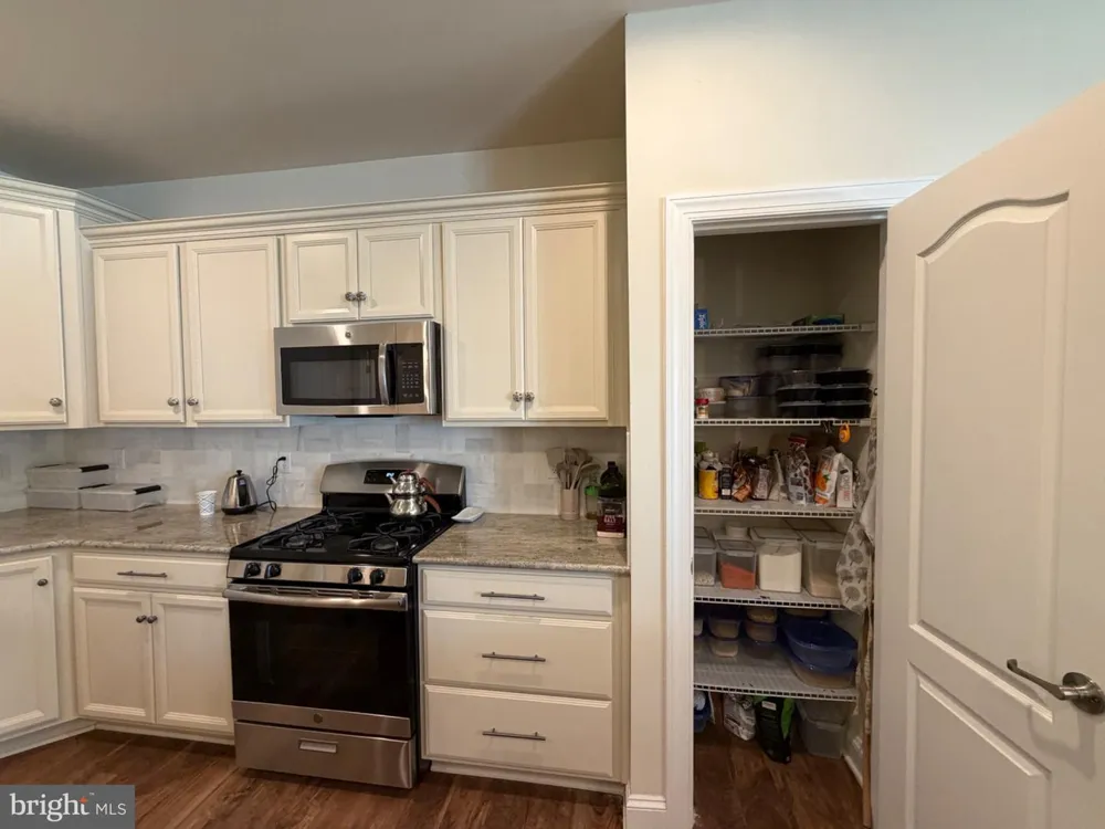 17209 TOBIAH WAY Milton, DE 19968