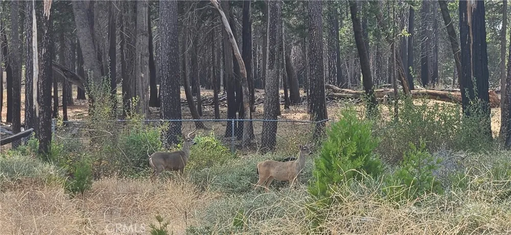 13901 W Park Magalia, CA 95954