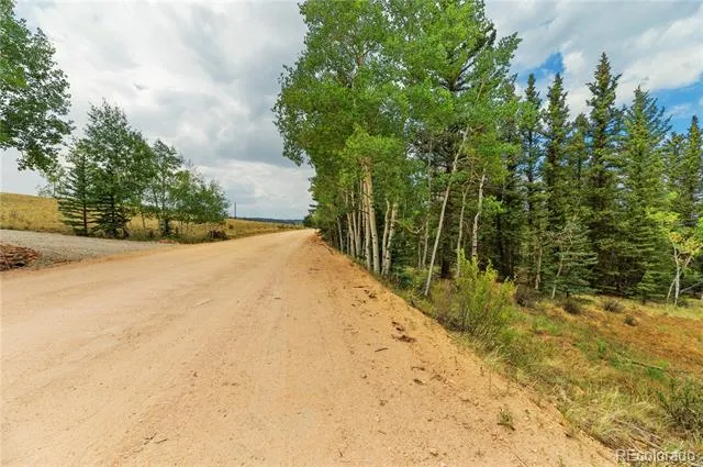 540 Turk Pony Way Como, CO 80432
