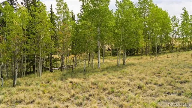 540 Turk Pony Way Como, CO 80432