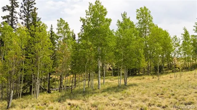 540 Turk Pony Way Como, CO 80432