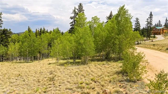540 Turk Pony Way Como, CO 80432