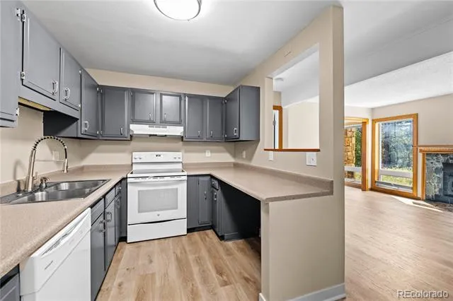 3452 Ryan Gulch Road #3452 Silverthorne, CO 80498