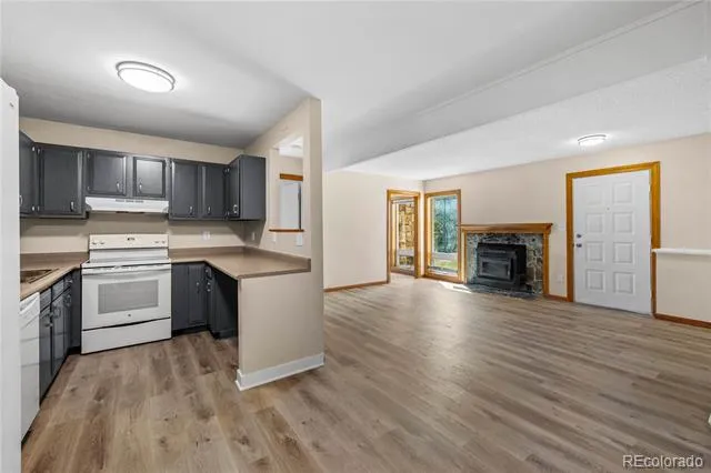 3452 Ryan Gulch Road #3452 Silverthorne, CO 80498