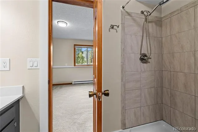 3452 Ryan Gulch Road #3452 Silverthorne, CO 80498