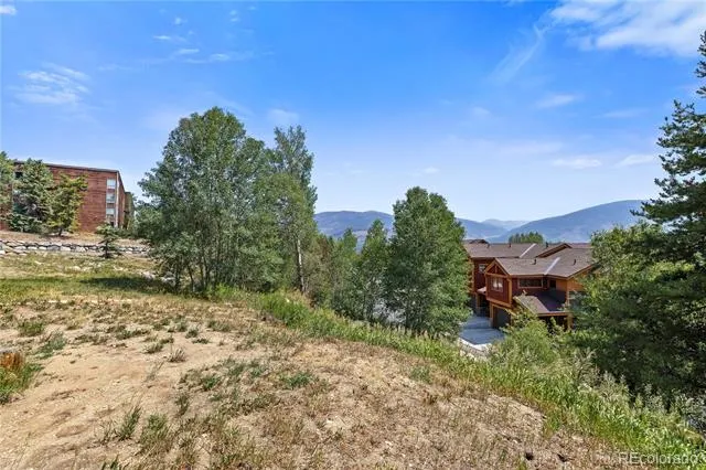 3452 Ryan Gulch Road #3452 Silverthorne, CO 80498