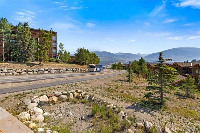 3452 Ryan Gulch Road #3452 Silverthorne, CO 80498