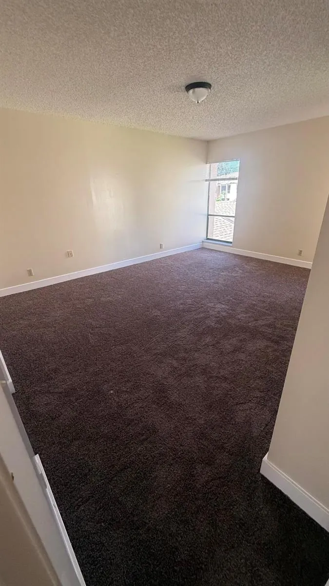6474 Pumpkin Seed Circle #206 Boca Raton, FL 33433
