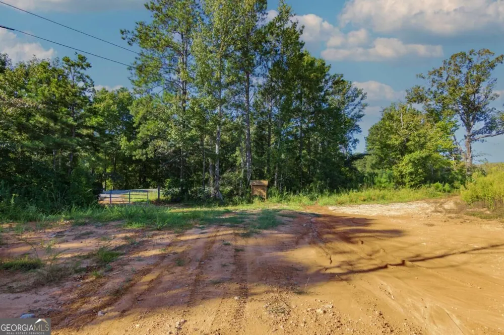 TRACT 3 Highway 0036 Woodland, GA 31836