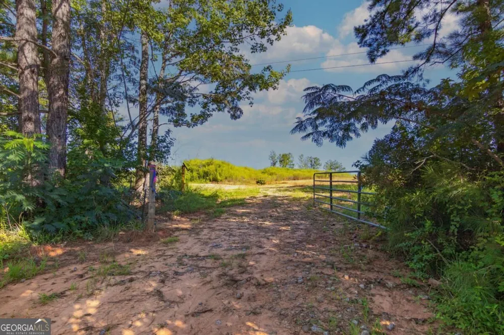 TRACT 3 Highway 0036 Woodland, GA 31836