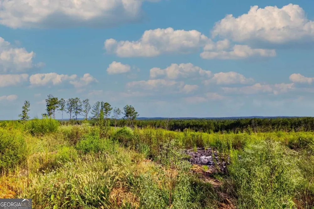 TRACT 3 Highway 0036 Woodland, GA 31836