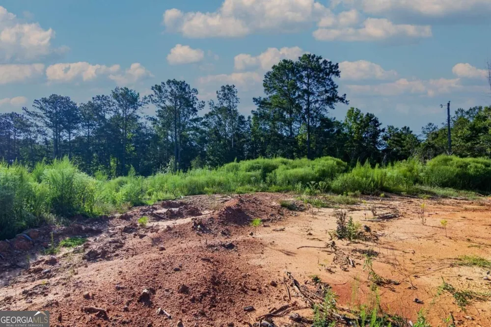 TRACT 3 Highway 0036 Woodland, GA 31836