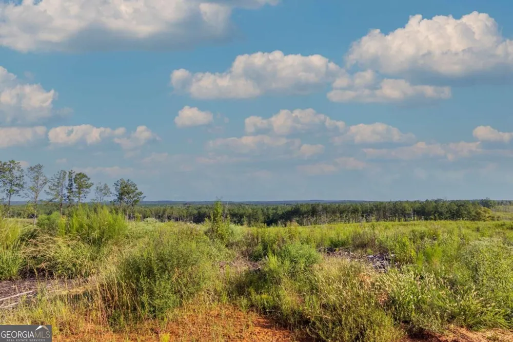 TRACT 3 Highway 0036 Woodland, GA 31836