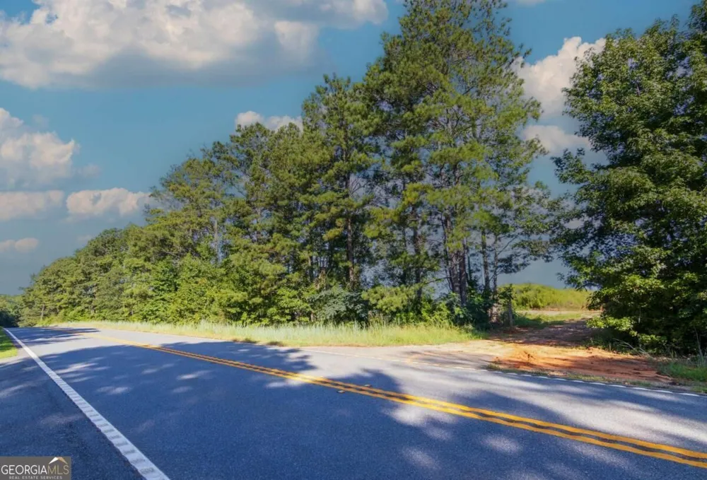 TRACT 3 Highway 0036 Woodland, GA 31836