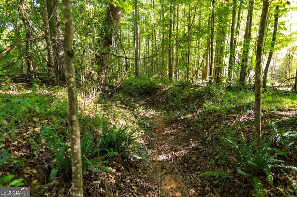 TRACT 3 Highway 0036 Woodland, GA 31836