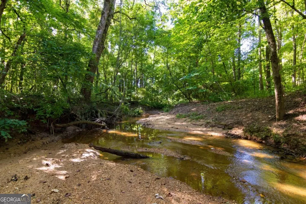 TRACT 3 Highway 0036 Woodland, GA 31836