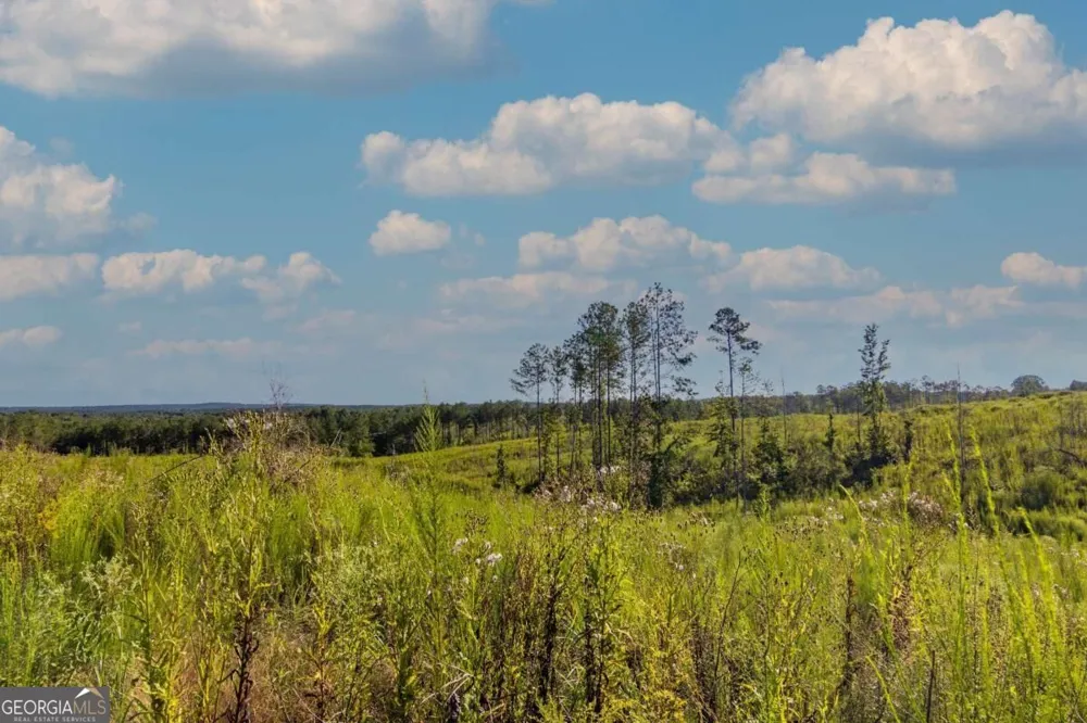 TRACT 3 Highway 0036 Woodland, GA 31836