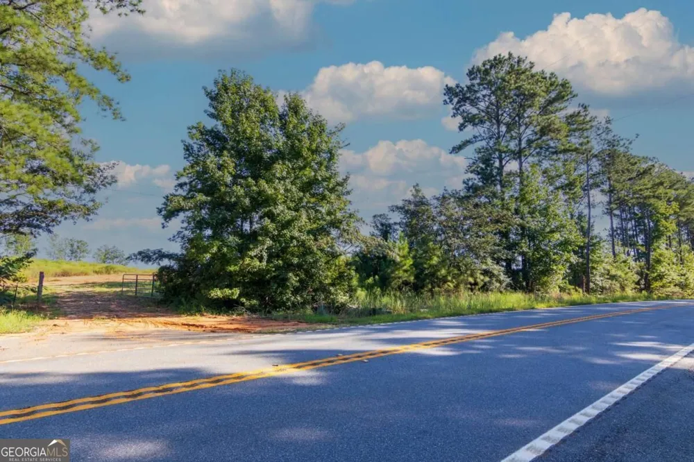 TRACT 3 Highway 0036 Woodland, GA 31836