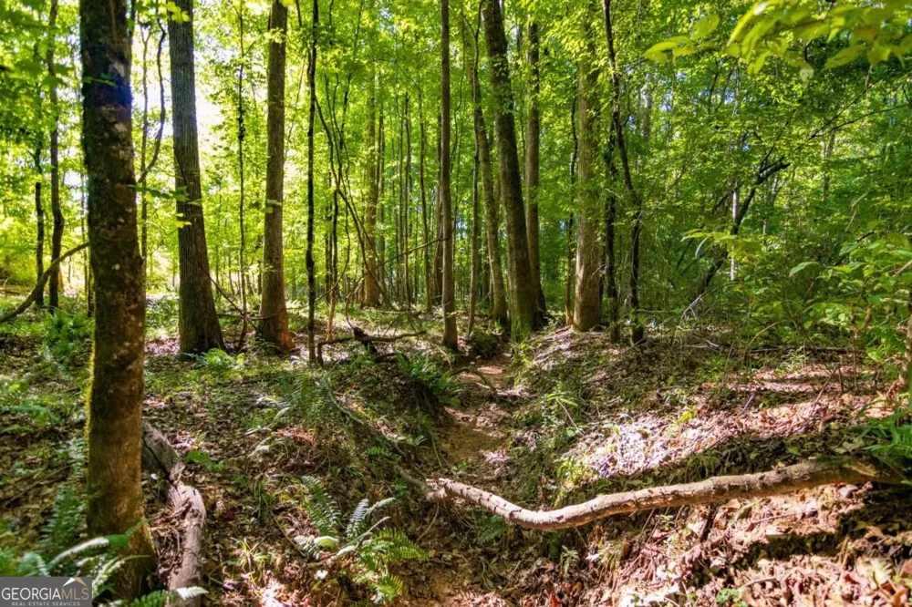 TRACT 3 Highway 0036 Woodland, GA 31836