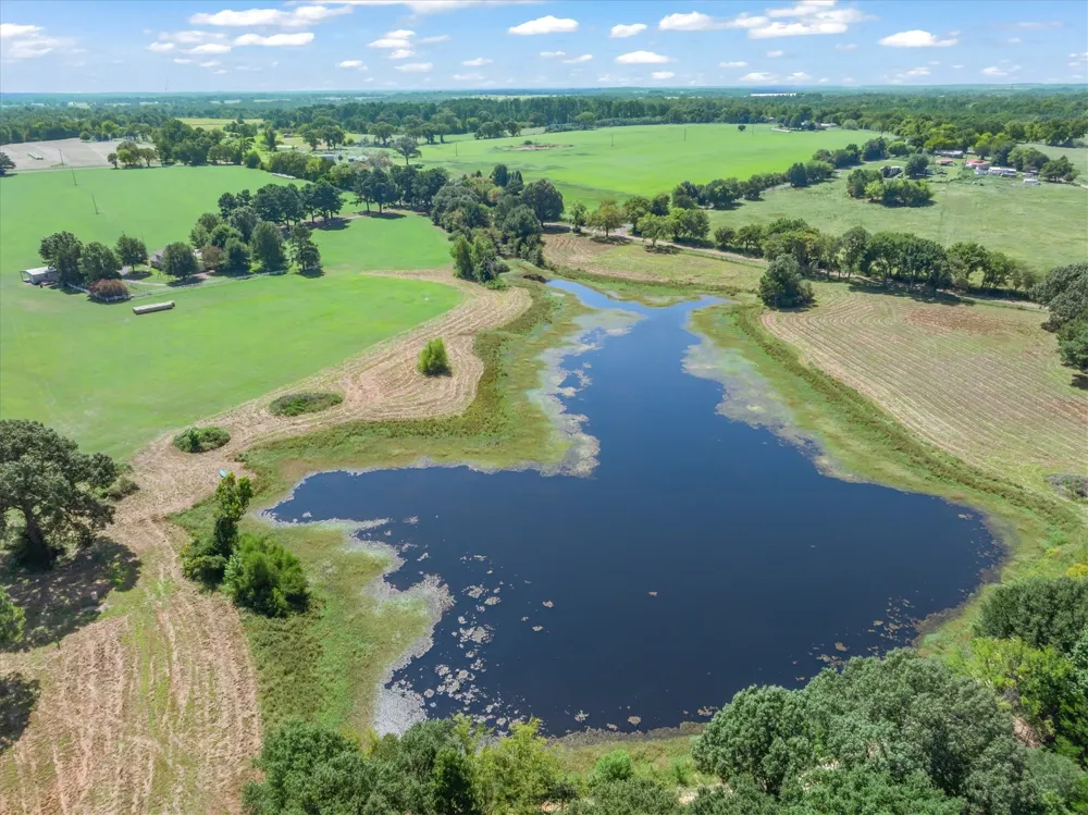 893 Vz County Road 4203 Canton, TX 75103