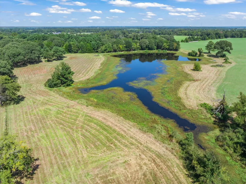 893 Vz County Road 4203 Canton, TX 75103