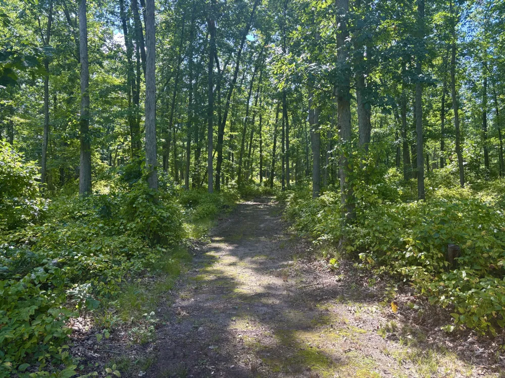 5064 W 109th Avenue Pullman, MI 49450