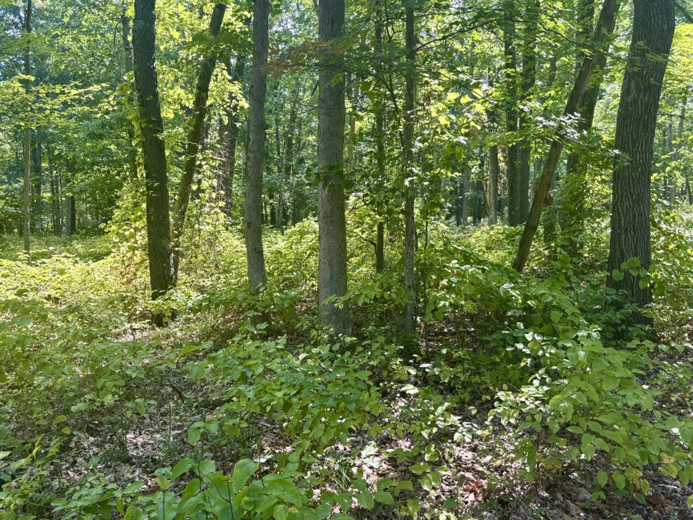 5064 W 109th Avenue Pullman, MI 49450