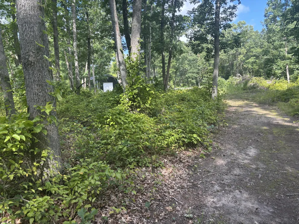 5064 W 109th Avenue Pullman, MI 49450