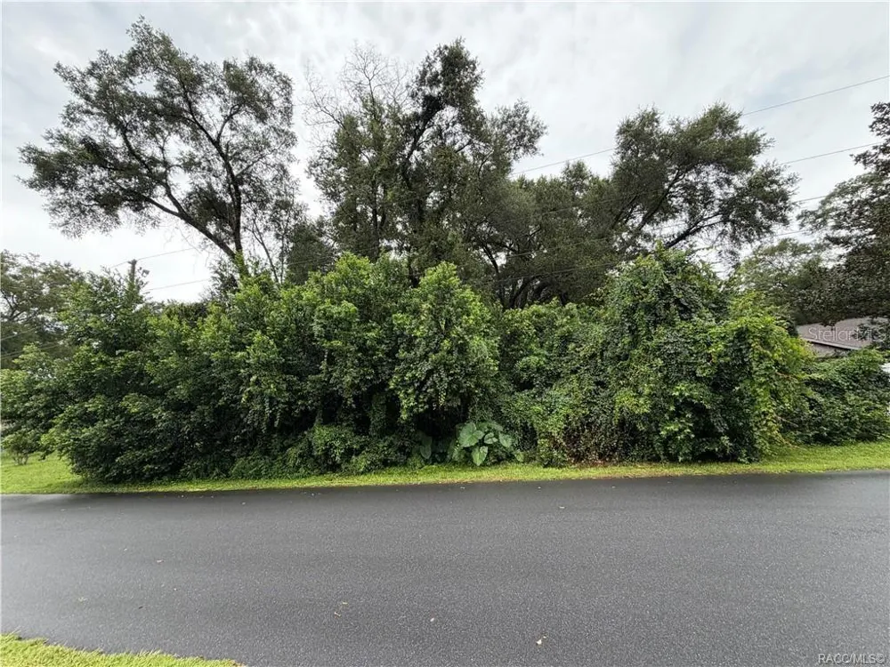 6140 E IVY LANE Inverness, FL 34452