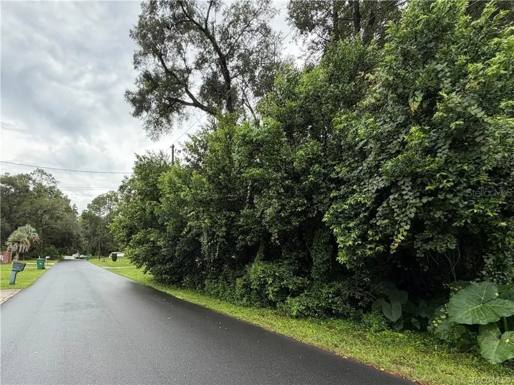 6140 E IVY LANE Inverness, FL 34452