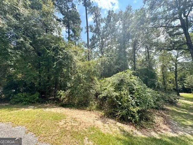 LOT 16 Old Mill WAY Statesboro, GA 30461
