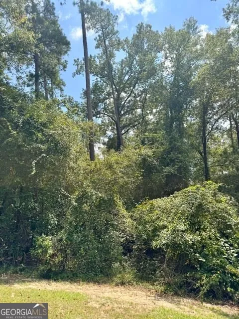 LOT 16 Old Mill WAY Statesboro, GA 30461